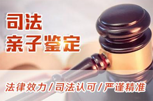 福州司法亲子鉴定流程,司法DNA亲子鉴定采集哪些样本